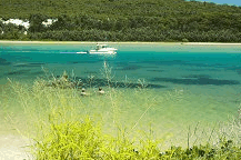 Wooli Camping And Caravan Park - St Kilda Accommodation 0