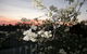 Sonjas Bed And Breakfast - thumb 2