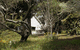Avoca Cottage - thumb 3