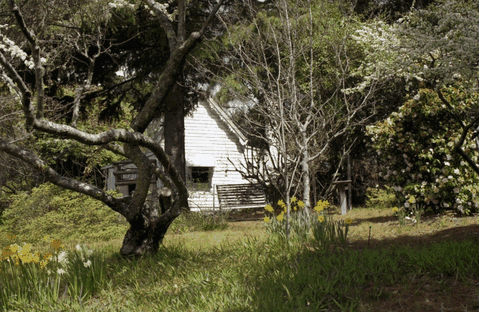 Avoca Cottage - St Kilda Accommodation 3