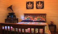 Saltbush Retreat - St Kilda Accommodation 2