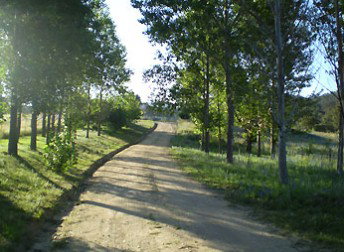 Mia Creek Bed And Breakfast - St Kilda Accommodation 0