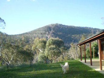 Mia Creek Bed And Breakfast - St Kilda Accommodation 5