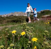 Horizons Apartment 407 - St Kilda Accommodation