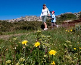 Horizons Apartment 407 - St Kilda Accommodation 0