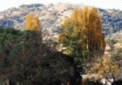 Nundle NSW St Kilda Accommodation