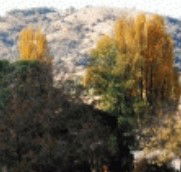 Birches Bed and Breakfast at Nundle - St Kilda Accommodation