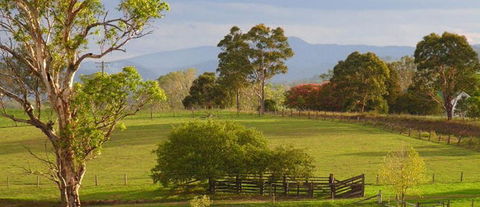 Barrington Village Retreat Bed And Breakfast - St Kilda Accommodation 1