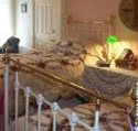 A Winter-Rose Cottage Bed and Breakfast - St Kilda Accommodation