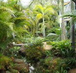 Chamomile Bed and Breakfast - St Kilda Accommodation