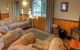 Accommodation Creek Cottages - thumb 3