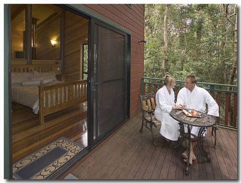 Springbrook Lyrebird Retreat - St Kilda Accommodation 1