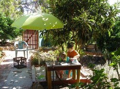 Karri Patch Cottage - St Kilda Accommodation 3
