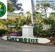 Carmelot Bed  Breakfast - St Kilda Accommodation
