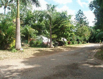 Cape Hillsborough Nature Resort - St Kilda Accommodation 4
