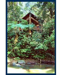 The Canopy Treehouses - St Kilda Accommodation 1