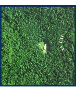 The Canopy Treehouses - St Kilda Accommodation 2