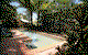 Marlin Cove Resort - thumb 5