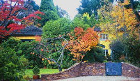 Moniques Bed And Breakfast - St Kilda Accommodation 3