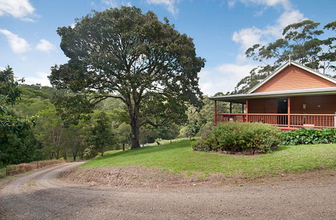 Wattle Gully Retreat - St Kilda Accommodation 6