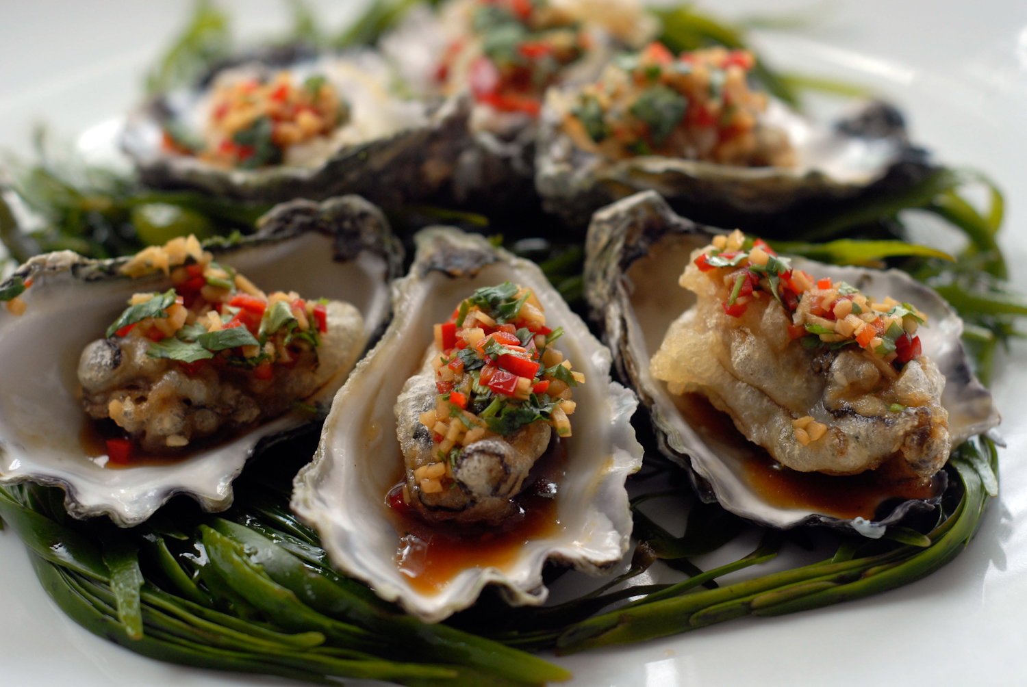 Mollymook NSW St Kilda Accommodation