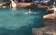 Undara Experience Lava Lodge - thumb 0