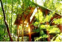 The Canopy Treehouses - St Kilda Accommodation 0