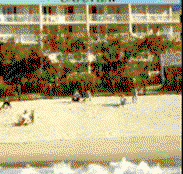 Capeview Apartments By The Sea - St Kilda Accommodation