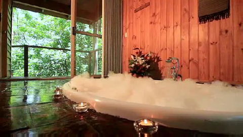 Tree Houses Of Montville - St Kilda Accommodation 0
