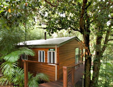 Tree Houses Of Montville - St Kilda Accommodation 2