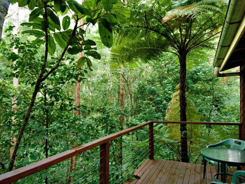 Tree Houses Of Montville - St Kilda Accommodation 3
