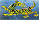 Dragon Phoenix Motel amp Restuarant - St Kilda Accommodation