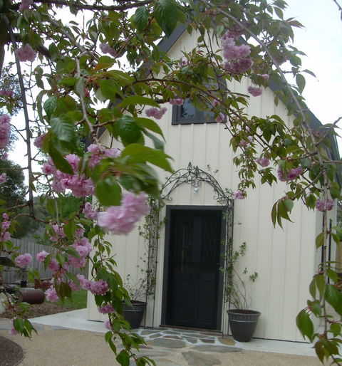 Silverleaf Cottage - St Kilda Accommodation 0