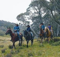 Pender Lea - St Kilda Accommodation