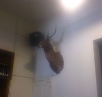 Union Hotel - St Kilda Accommodation