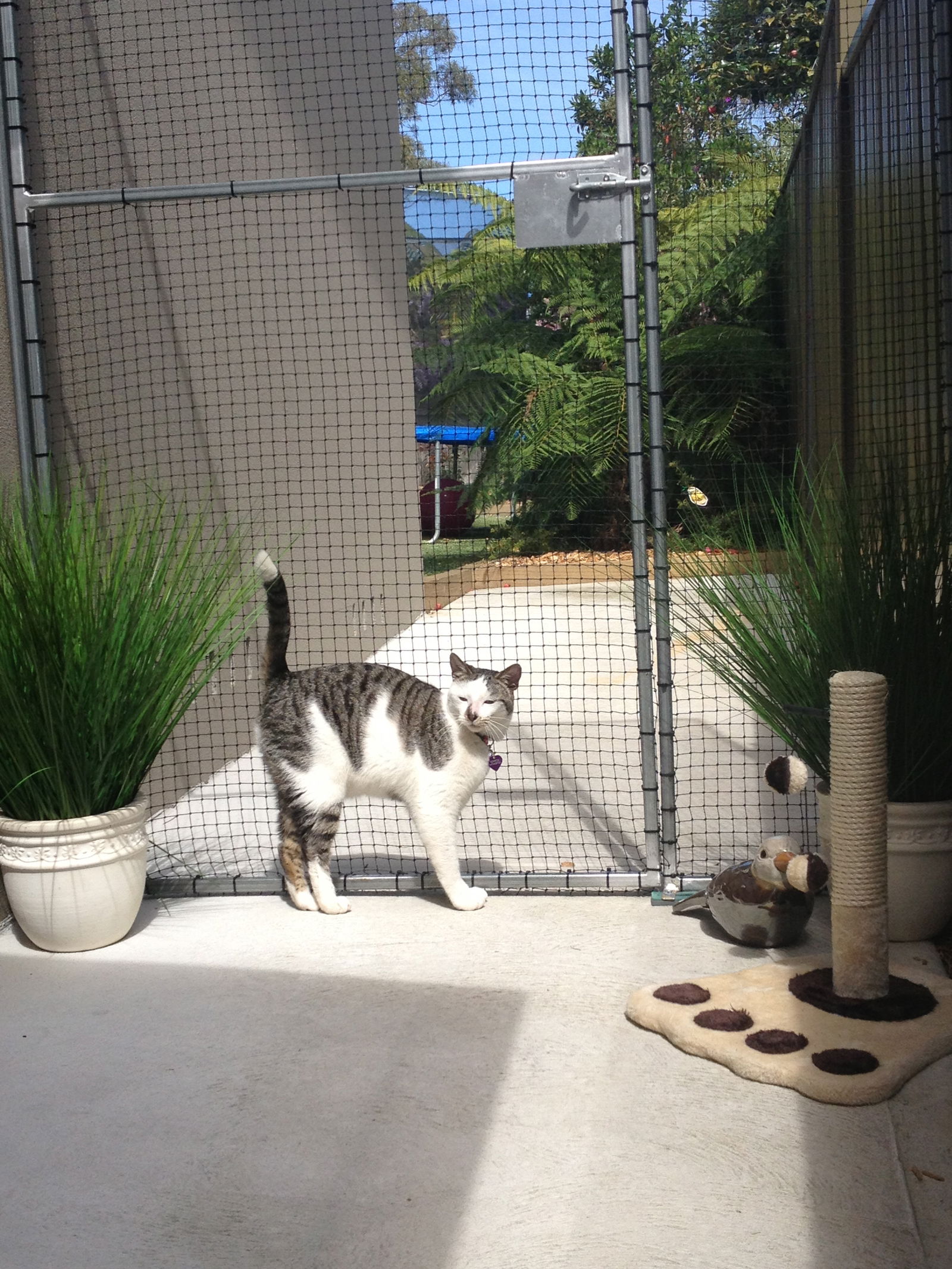 Caringbah South NSW St Kilda Accommodation