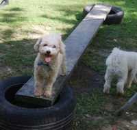 Beenleigh Pet Motel - St Kilda Accommodation