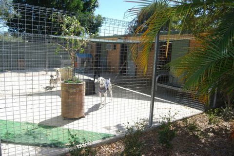 Beenleigh Pet Motel - St Kilda Accommodation 4