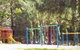 Black Spur Motel & Caravan Park - thumb 0