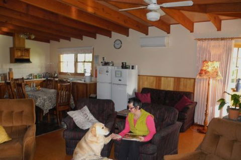 Happydays Accommodation Motor Inn - St Kilda Accommodation 5