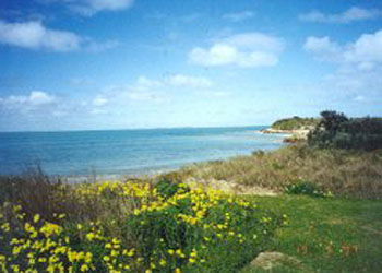 Southern Ocean Tourist Park - St Kilda Accommodation 1
