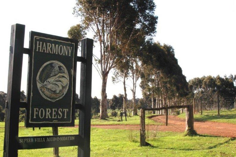 Forest Grove WA St Kilda Accommodation