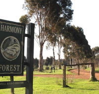 Harmony Forest - St Kilda Accommodation
