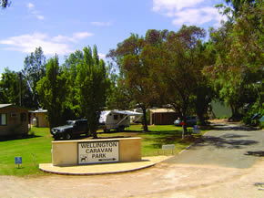 Wellington Caravan Park - St Kilda Accommodation 0