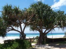 Pacific Surf Absolute Beachfront Apartments - St Kilda Accommodation 0