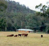 Shute Hill Country Retreat - St Kilda Accommodation