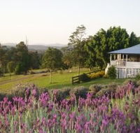 Blue Ridge Lavender Farm And Retreat - St Kilda Accommodation