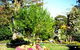 Jolly Swagman Caravan Park - thumb 0