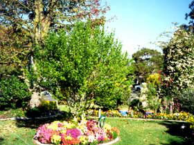 Jolly Swagman Caravan Park - St Kilda Accommodation 0