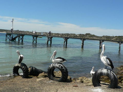 Fareview Beach House - St Kilda Accommodation 3